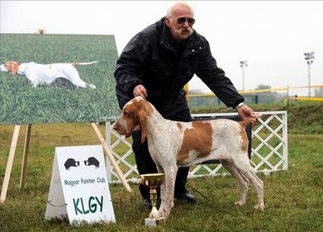 Kuvaus: Kuvaus: ASIA Campione Ungherese 04102008